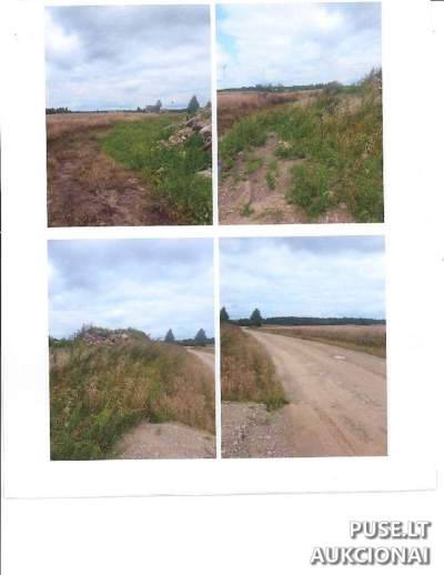 Nebaudžiamas pardavimas: Ferma Kelmės r. Pliuškaičių k. 1A, 172 kv. m, pradinė kaina 880 EUR