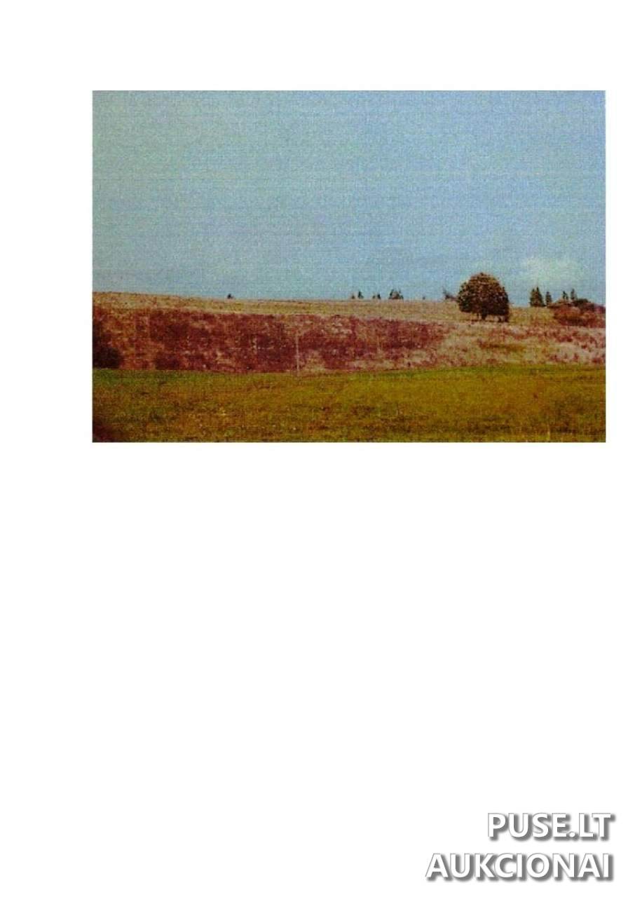 Žemės sklypas Sklypai Intuponys, Stakliškių sen., Prienų r. sav. 5