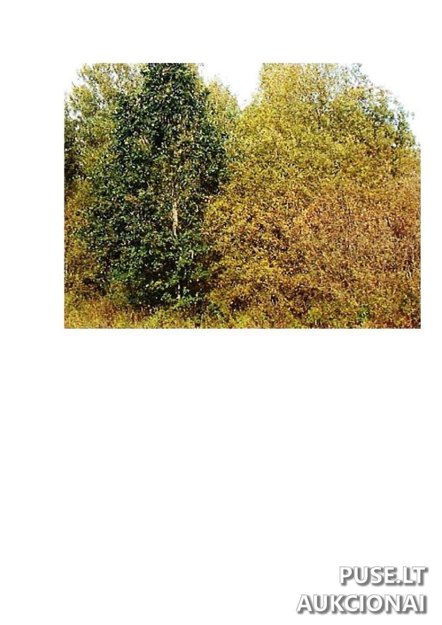 Žemės sklypas Sklypai Giriotiškės, Stakliškių sen., Prienų r. sav. 4