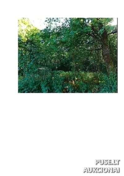 Žemės sklypas parduodamas Prienų r. sav. Rodomislės k. pradinė kaina 19040 EUR
