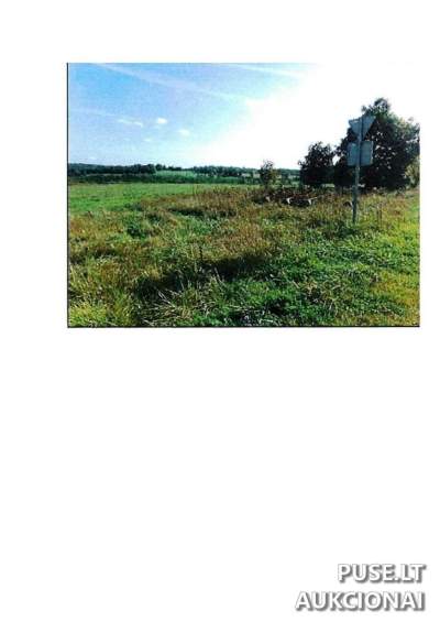 Žemės ūkio paskirties sklypas Prienų r. sav., Rodomislės kaime, pradinė kaina 7680 EUR