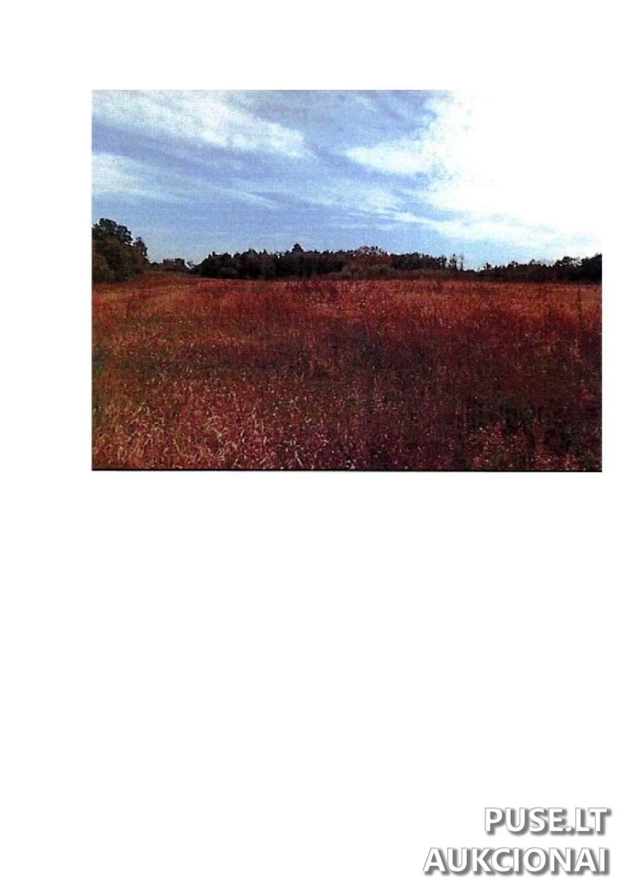Žemės sklypas Sklypai Rodomislė, Stakliškių sen., Prienų r. sav. 3
