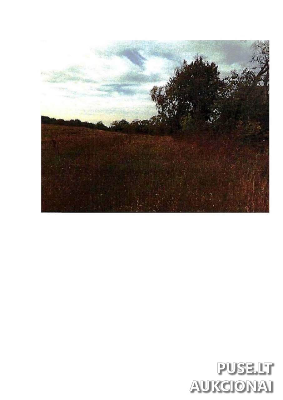 Žemės sklypas Sklypai Rodomislė, Stakliškių sen., Prienų r. sav. 4