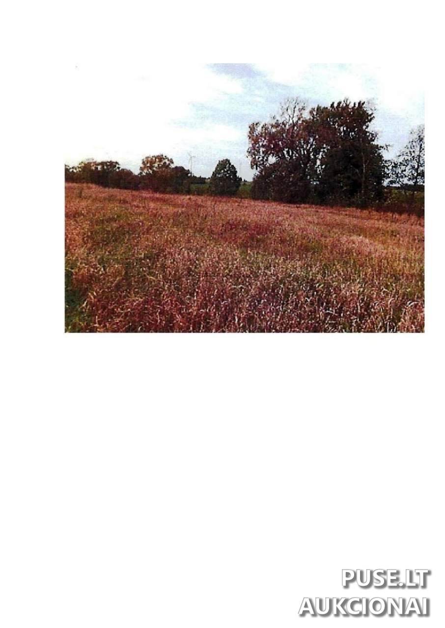 Žemės sklypas Sklypai Rodomislė, Stakliškių sen., Prienų r. sav. 5