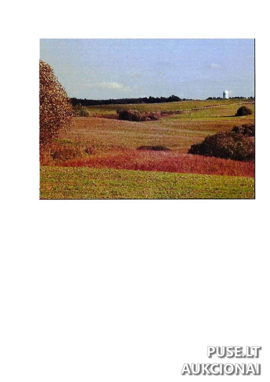 Žemės sklypas Sklypai Intuponys, Stakliškių sen., Prienų r. sav. 1