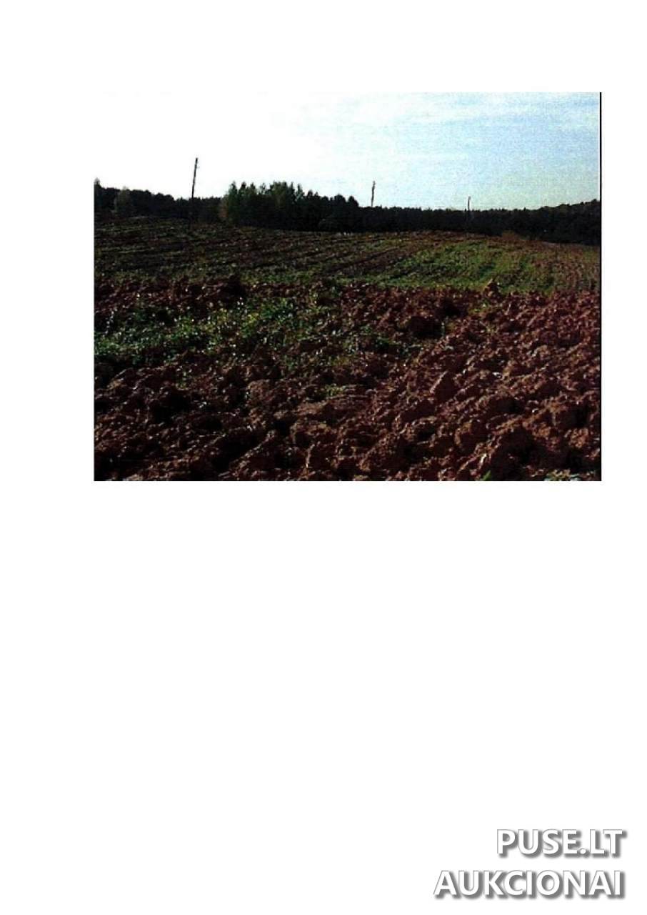 Žemės sklypas Sklypai Intuponys, Stakliškių sen., Prienų r. sav. 2