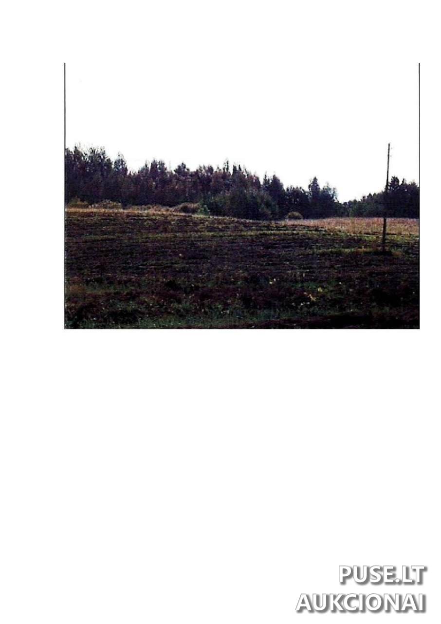 Žemės sklypas Sklypai Intuponys, Stakliškių sen., Prienų r. sav. 5