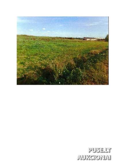Žemės ūkio paskirties sklypas Prienų r. sav., Intuponių k. - 69600 EUR