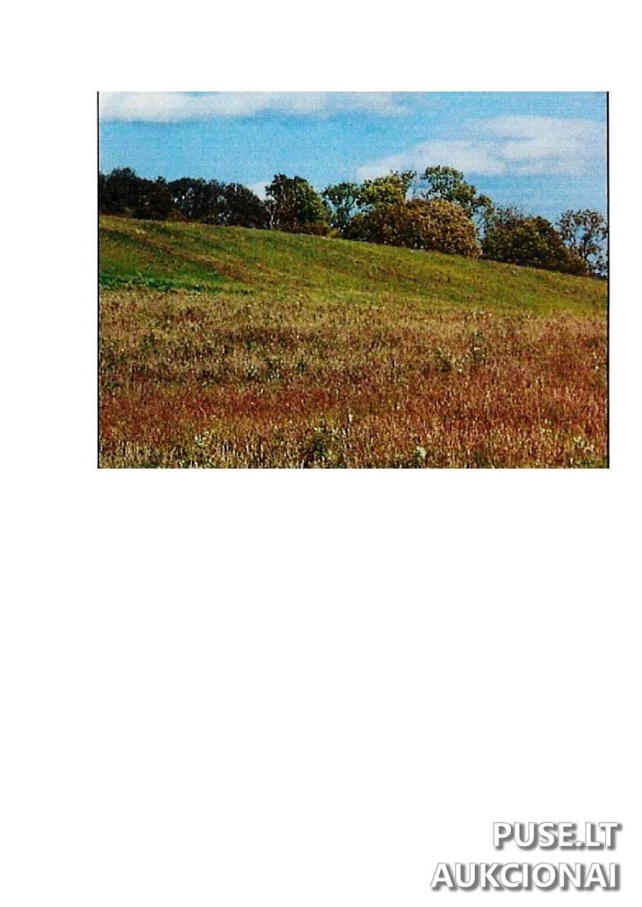 Žemės sklypas Sklypai Rodomislė, Stakliškių sen., Prienų r. sav. 4
