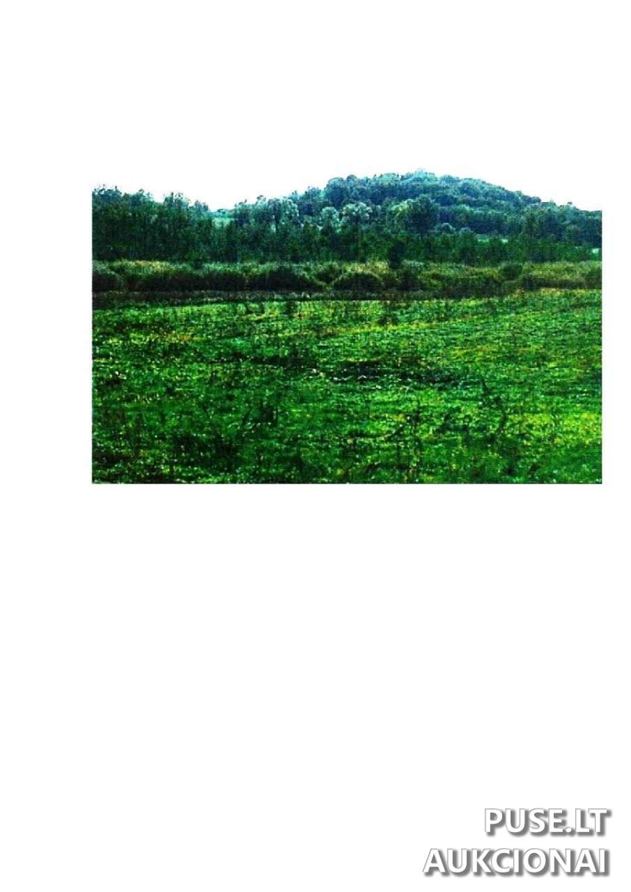 Žemės sklypas Sklypai Guostaus g. 22, 59366 Rodomislė, Stakliškių sen., Prienų r. sav. 4