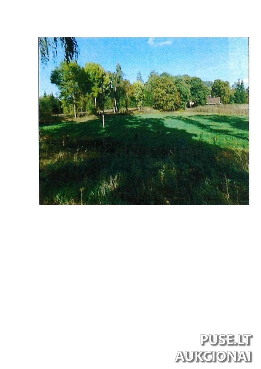 Žemės sklypas Sklypai Guostaus g. 22, 59366 Rodomislė, Stakliškių sen., Prienų r. sav. 6