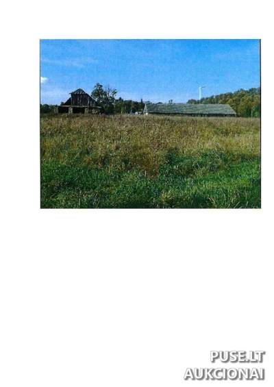 Žemės sklypas Prienų rajone, Rodomislės kaime, parduodamas 112880 EUR aukcione