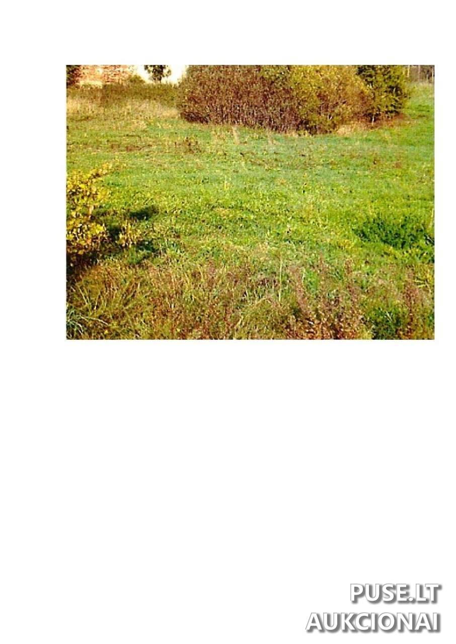 Žemės sklypas Sklypai Intuponys, Stakliškių sen., Prienų r. sav. 5