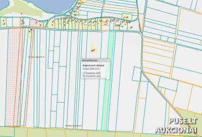 Žemės ūkio paskirties sklypo 1/3 dalis Vilniaus rajone, Mažųjų Lygainių kaime, pradinė kaina 4944 EUR
