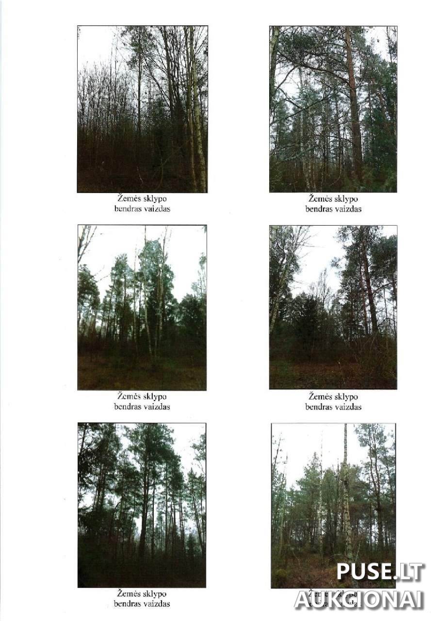 Žemės sklypas Sklypai Stalgonys, Poškonių sen., Šalčininkų r. sav. 3