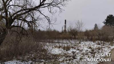 Valstybinės žemės sklypo aukcionas Telšiuose, Narutavičių g. 1, pradinė kaina 17842 EUR