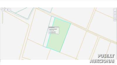 Žemės ūkio paskirties žemės sklypo 1/4 dalis Raseinių r. Milašaičių k. 463 EUR pradinė kaina