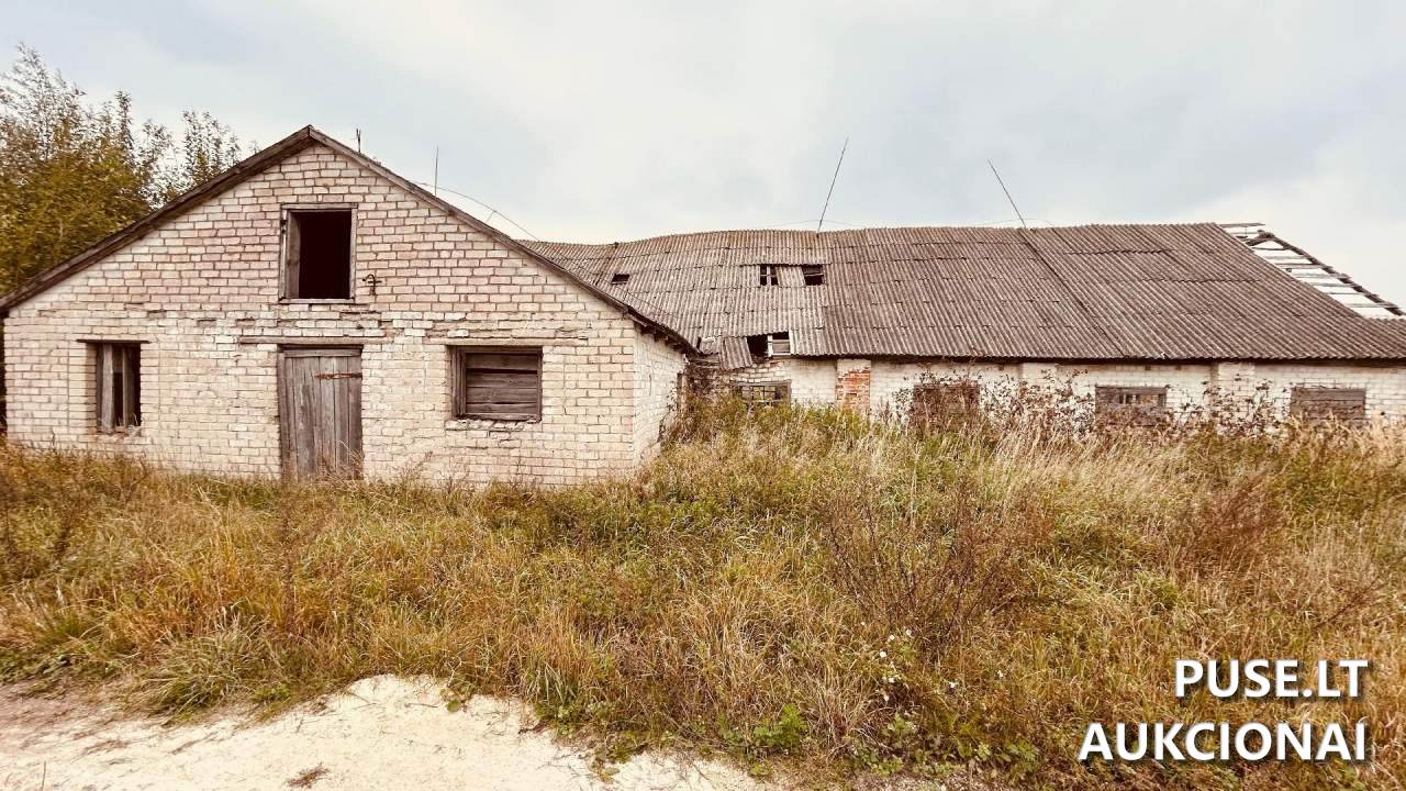 Veršidė Pastatai Aleknai 8, 60355, Viduklės sen., Raseinių r. sav. 6