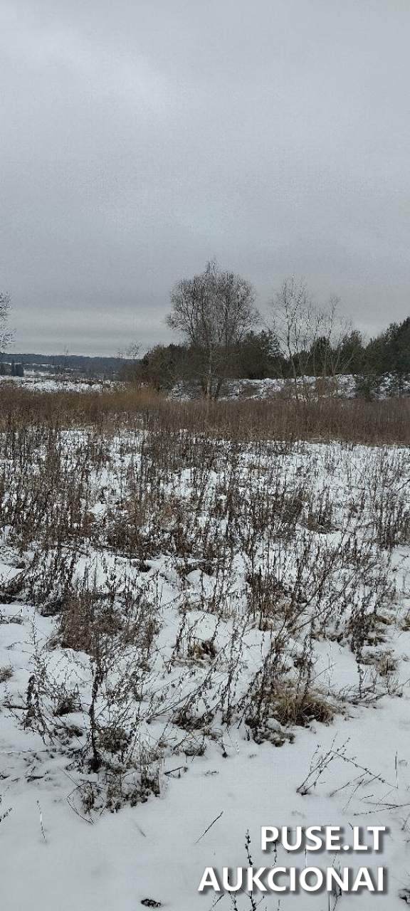 Nuomojamas turtas: Žemės sklypas Sklypai Eglyno g. 1, 32307 Dusetos, Dusetų sen., Zarasų r. sav. 2