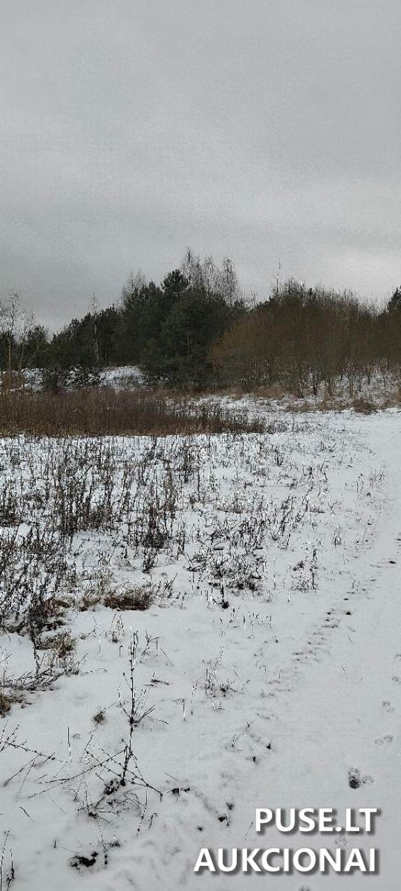 Nuomojamas turtas: Žemės sklypas Sklypai Eglyno g. 1, 32307 Dusetos, Dusetų sen., Zarasų r. sav. 3