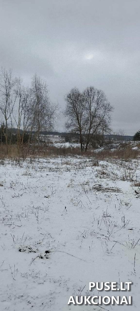Nuomojamas turtas: Žemės sklypas Sklypai Eglyno g. 1, 32307 Dusetos, Dusetų sen., Zarasų r. sav. 4