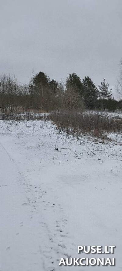 Valstybinis žemės sklypo nuomos aukcionas Zarasų rajone, Dusetų seniūnijoje, nuo 82 EUR