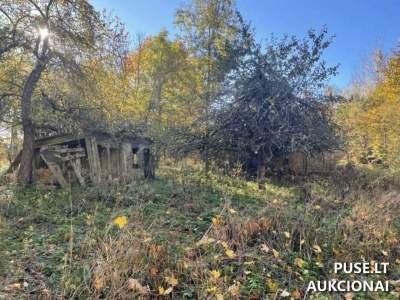 Nekilnojamojo turto dalis Zarasų r. Zirnajų k. parduodama aukcione 4140 EUR