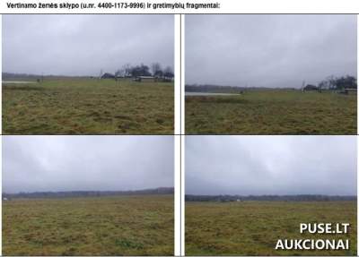 1/4 dalis 1.90 ha žemės ūkio sklypo Šilalės r. sav. Degučių I kaime pradinė kaina 1140 EUR