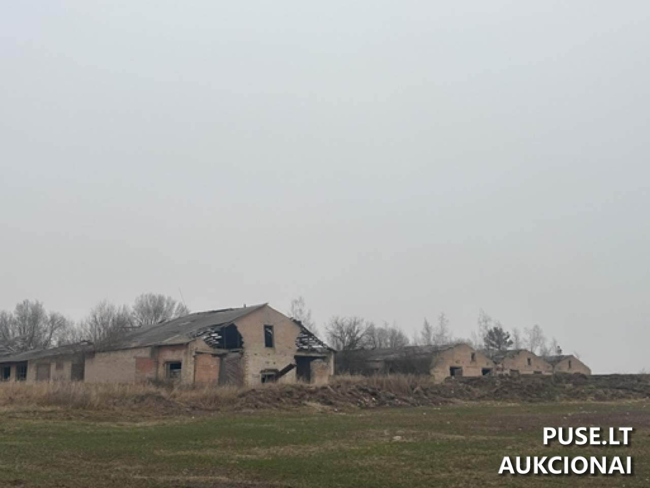 Ferma Pastatai Naujikai 8, 39113, Pasvalio apylinkių sen., Pasvalio r. sav. 2