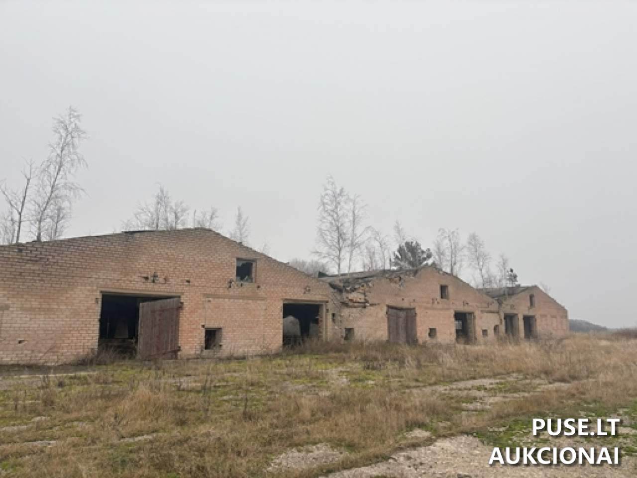 Ferma Pastatai Naujikai 8, 39113, Pasvalio apylinkių sen., Pasvalio r. sav. 3