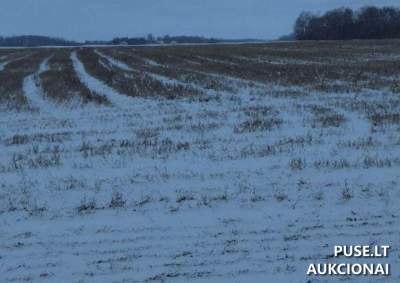 Parduodamas 1.21 ha žemės ūkio sklypas Biržų r. Egerdiškio k. su 5840 EUR pradine kaina