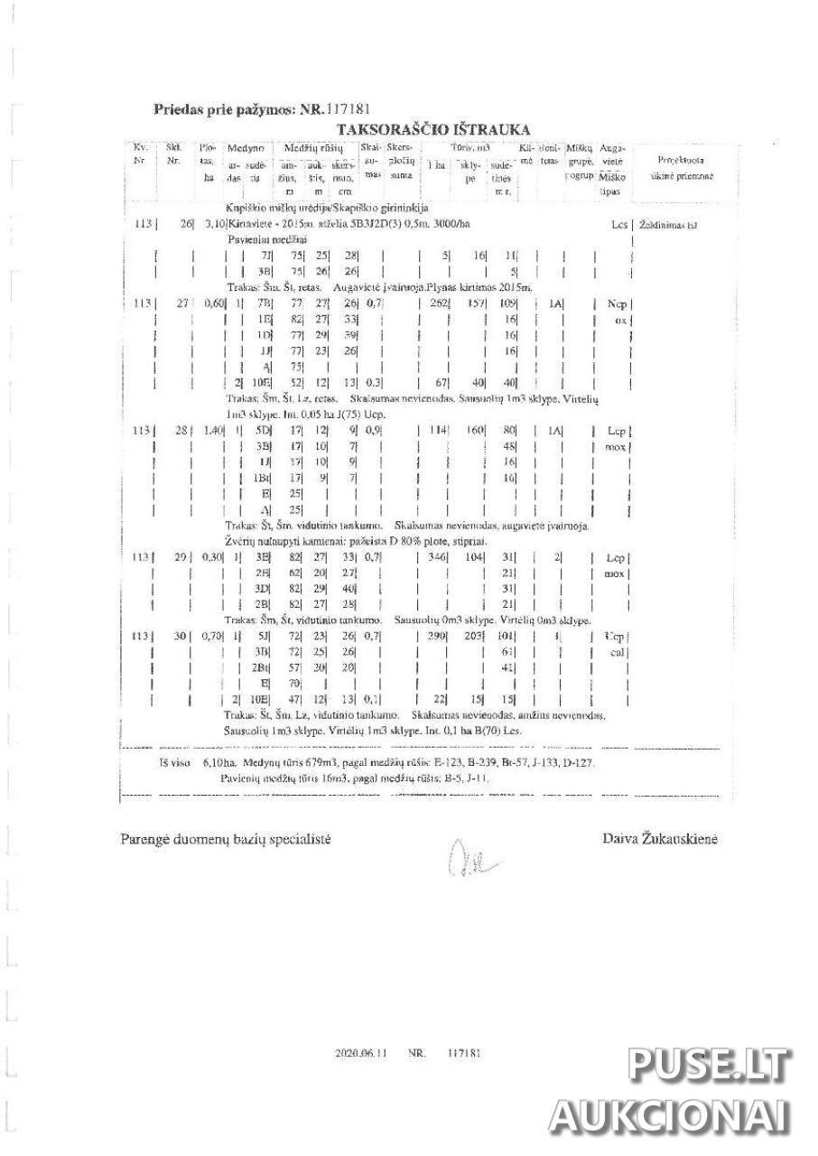 Žemės sklypas Sklypai Kupiškis District Municipality, Lithuania 1