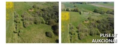 Žemės sklypas Ukmergės r. sav. Mielionių vs. parduodamas aukcione nuo 1980 EUR