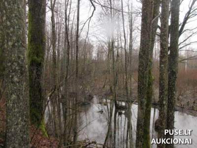 7.5 ha žemės ūkio paskirties sklypas Klaipėdos r. sav., Jucaičių k., su 4.3 ha naudmenų, pradinė kaina 15600 EUR