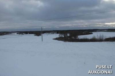 1/8 dalis 1.9635 ha žemės ūkio paskirties sklypo Šilalės r. sav., Šakių k. pradinė kaina 760 EUR