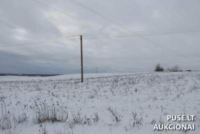 Žemės ūkio paskirties sklypo dalis Šilalės r. Plunksnių k. 2640 EUR pradinė suma