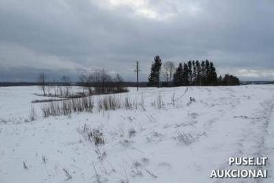 Žemės ūkio paskirties sklypo dalis Šilalės r. sav., Plunksnių k. 400 EUR pradinė kaina