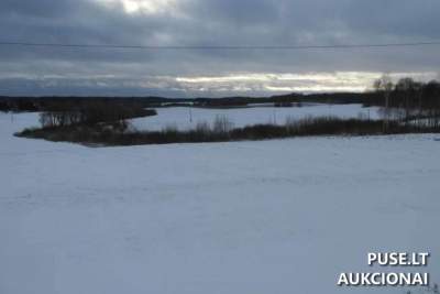 3 ha žemės ūkio paskirties sklypo 1/4 dalis Šilalės r. sav., Šakių k. nuo 2320 EUR