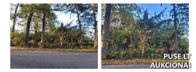 Žemės sklypas Pasvalio r. sav., Stačiūnų k., parduodamas su 1040 EUR pradine kaina