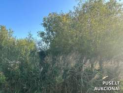 Sklypai - Žemės sklypas