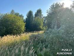 Sklypai - Žemės sklypas