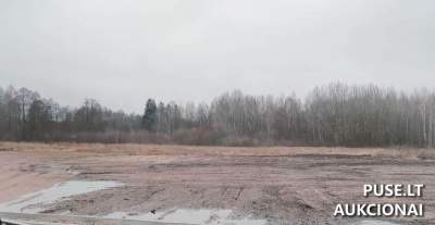 1/3 dalis žemės ūkio sklypo Baltosios Vokės mieste, Šalčininkų rajone, pradinė kaina 1080 EUR