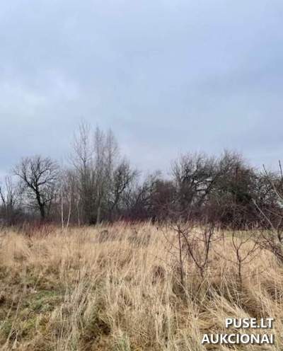 Valstybinės žemės sklypas Klaipėdoje, Užlaukio g. 33, pradinė kaina 89862 EUR