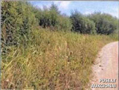 Valstybinis žemės sklypas Klaipėdoje, Užlaukio g. 37, pradinė kaina 77549 EUR