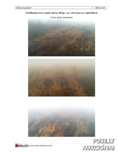 3/8 dalis miško fondo žemės sklypo Biržų rajone, Spalviškių kaime, Pardavimas už 1800 EUR