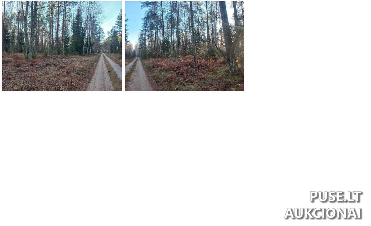 Žemės sklypas Sklypai Perloja, Varėna District Municipality, Lithuania 12