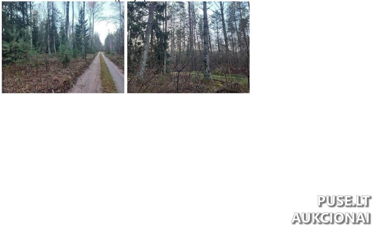 Žemės sklypas Sklypai Perloja, Varėna District Municipality, Lithuania 2