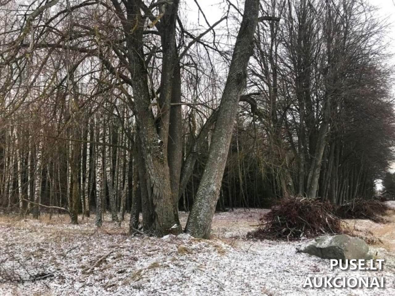 Žemės sklypas Sklypai Turlojiškės, 19150 Širvintų r. sav., Lithuania 4