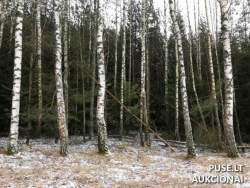 Sklypai - Žemės sklypas