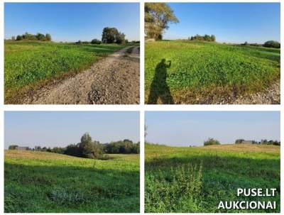 3.19 ha žemės ūkio paskirties sklypas Ukmergės rajone, Vileikių kaime, pradinė kaina 8820 EUR